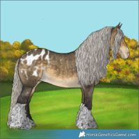 Horse Color:Silver Buckskin Dun Tobiano Blanket 