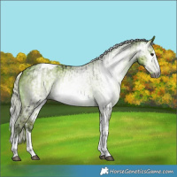 Horse Color:Gray Silver Buckskin Onyx Splash Tobiano  and Gray Silver Perlino Dun Splash Tobiano 