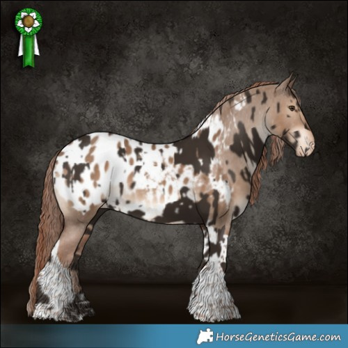 Horse Color:Liver Chestnut Tobiano  and Liver Red Dun Tobiano Appaloosa 