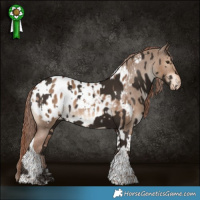 Horse Color:Liver Chestnut Tobiano  and Liver Red Dun Tobiano Blanket 