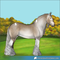 Horse Color:Gray Silver Brown Dun Tobiano 