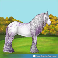 Horse Color:Gray Watercolor Buckskin Tobiano Blanket 
