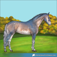 Horse Color:Watercolor Silver Brown Tobiano Appaloosa  and Watercolor Silver Brown Onyx 