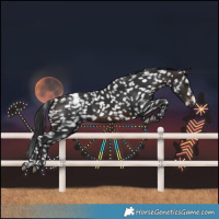 Horse Color:White Spotted Brown Snowflake Varnish Rabicano 