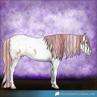 Horse Color:Painted White Spotted Perlino Splash Tobiano Appaloosa 