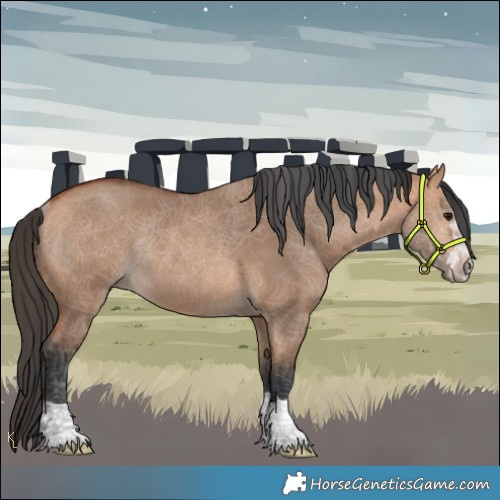 Horse Color:Bay Dun Rabicano 