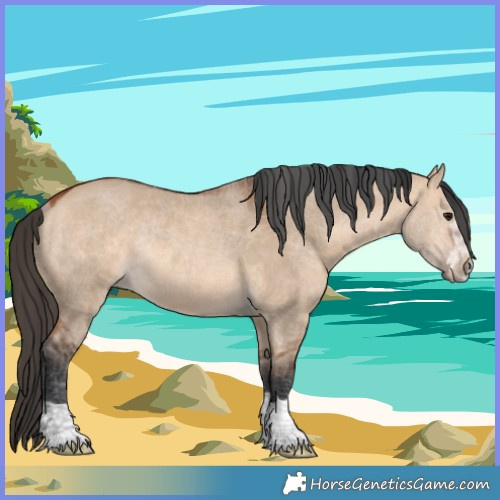 Horse Color:Bay Dun Rabicano 