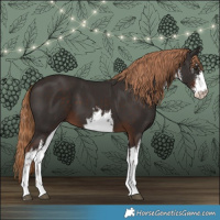 Horse Color:White Spotted Liver Chestnut 
