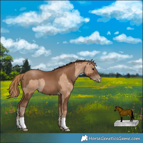 Horse Color:Black Pearl Snowflake Varnish and Gray Black Pearl