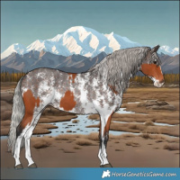 Horse Color:Bay Sabino Rabicano and Silver Brown Sabino Rabicano