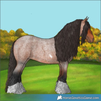 Horse Color:Bay Roan Tobiano 