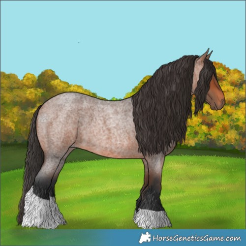 Horse Color:Bay Roan Tobiano 