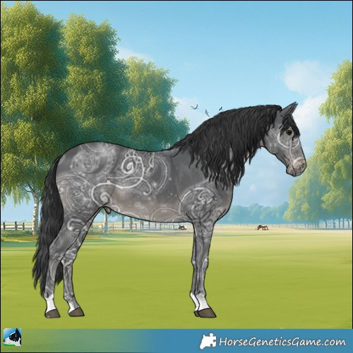 Horse Color:Black Ice 