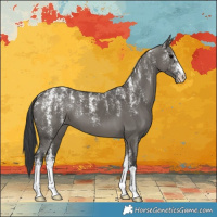 Horse Color:Powder White Grullo 