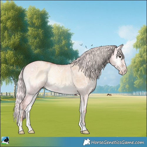 Horse Color:Silver Classic Champagne Ice Onyx 