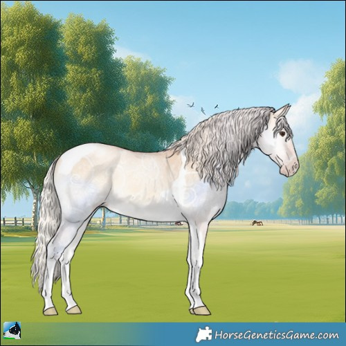 Horse Color:Silver Classic Champagne Ice Onyx Tobiano 