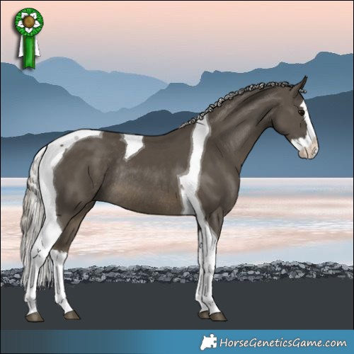 Horse Color:Silver Smoky Black Splash Tobiano Rabicano 