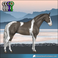 Horse Color:Silver Smoky Black Splash Tobiano Rabicano 