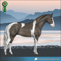 Horse Color:Silver Smoky Black Splash Tobiano Rabicano