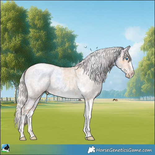 Horse Color:Silver Amber Champagne Ice Dun Tobiano Frame 