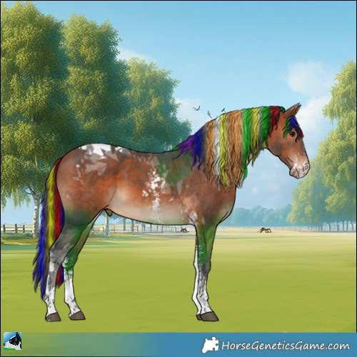 Horse Color:Painted Bay Sabino Tobiano 