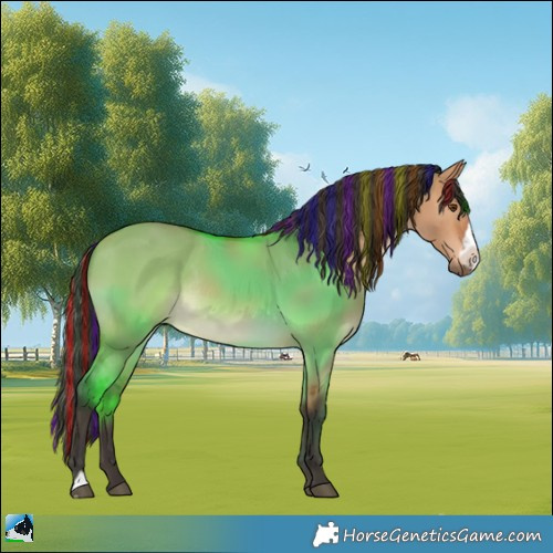 Horse Color:Painted Bay Dun Frame Rabicano 
