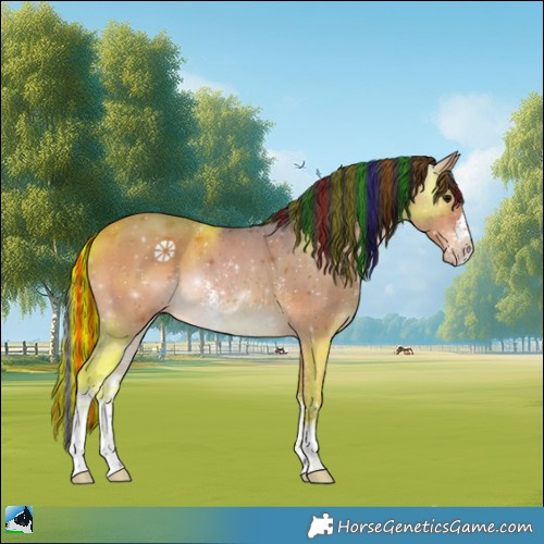 Horse Color:Painted Bay Sabino Rabicano 