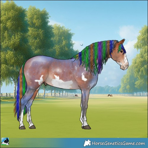 Horse Color:Painted Bay Sabino Frame Rabicano
