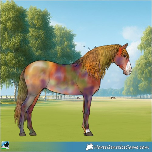 Horse Color:Nacre Bay Frame 