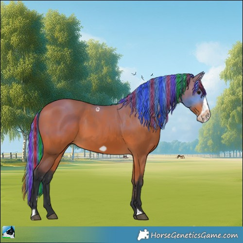 Horse Color:Painted Bay Frame 