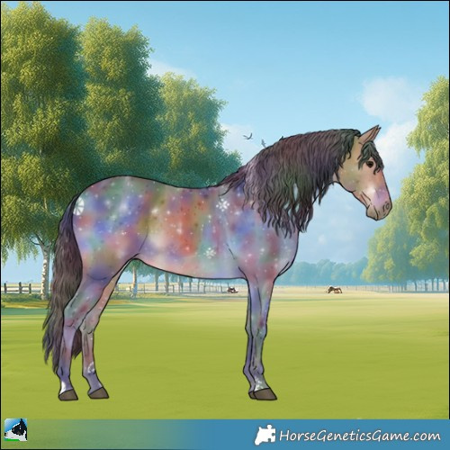 Horse Color:Nacre Bay Rabicano 