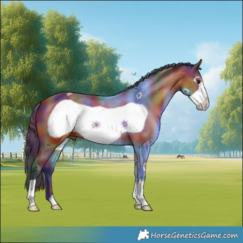 Horse Color:Nacre Bay Frame 