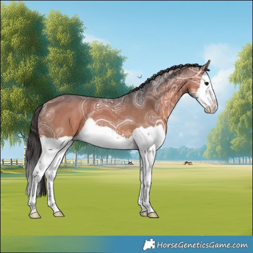 Horse Color:Bay Ice Splash 