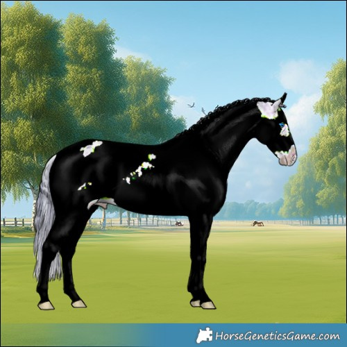 Horse Color:Watercolor Brown Ice Splash Tobiano Frame 