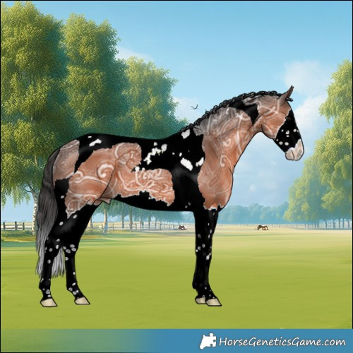 Horse Color:Brown Ice Splash Tobiano 
