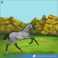 Horse Color:Blue Roan Snowflake Varnish 