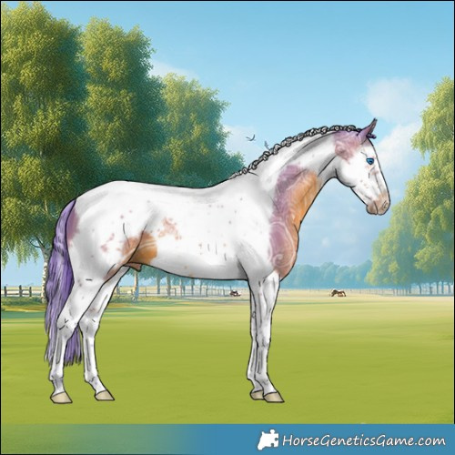 Horse Color:Watercolor Brown Ice Splash Tobiano Frame 