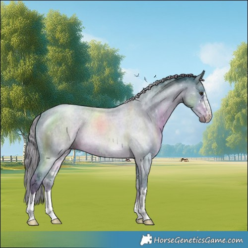 Horse Color:Watercolor Liver Chestnut 