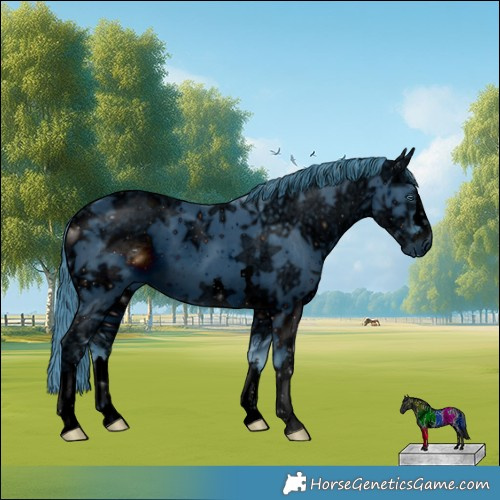 Horse Color:ERROR: UNKNOWN ANOMALY