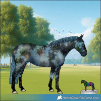 Horse Color:ERROR: UNKNOWN ANOMALY