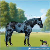 Horse Color:ERROR: UNKNOWN ANOMALY