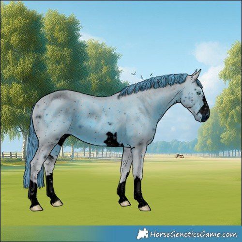 Horse Color:ERROR: UNKNOWN ANOMALY