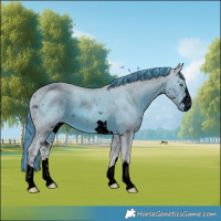 Horse Color:ERROR: UNKNOWN ANOMALY