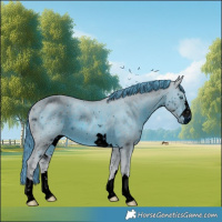 Horse Color:ERROR: UNKNOWN ANOMALY