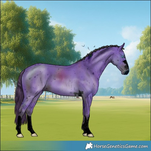 Horse Color:ERROR: UNKNOWN ANOMALY