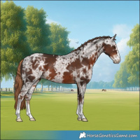 Horse Color:Liver Chestnut Ice 