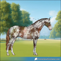 Horse Color:Liver Chestnut Ice 