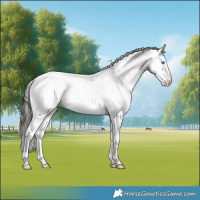 Horse Color:Black Ice Sabino Splash 