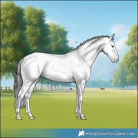 Horse Color:Black Sabino Splash 