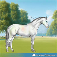 Horse Color:Black Sabino Splash